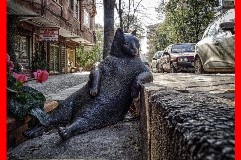 6 Secret Tips to Improve Your Health Insurance